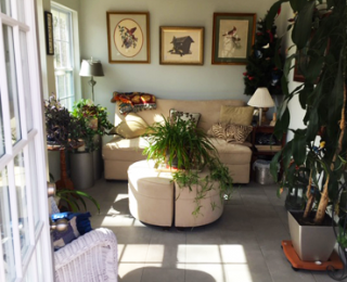 sunroom02