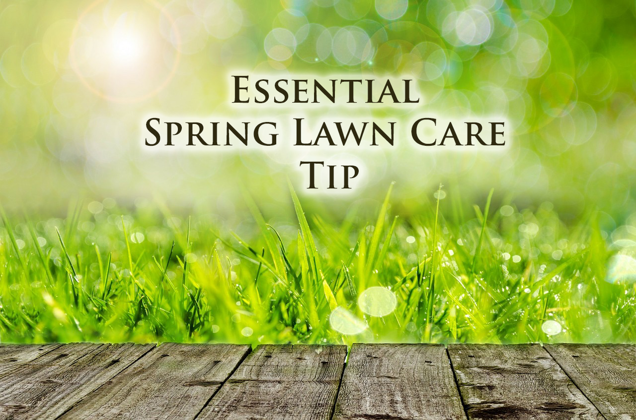 Seasonal Maintenance Tips for Maximum Home Comfort This Spring -  leslieheatingandcooling.com